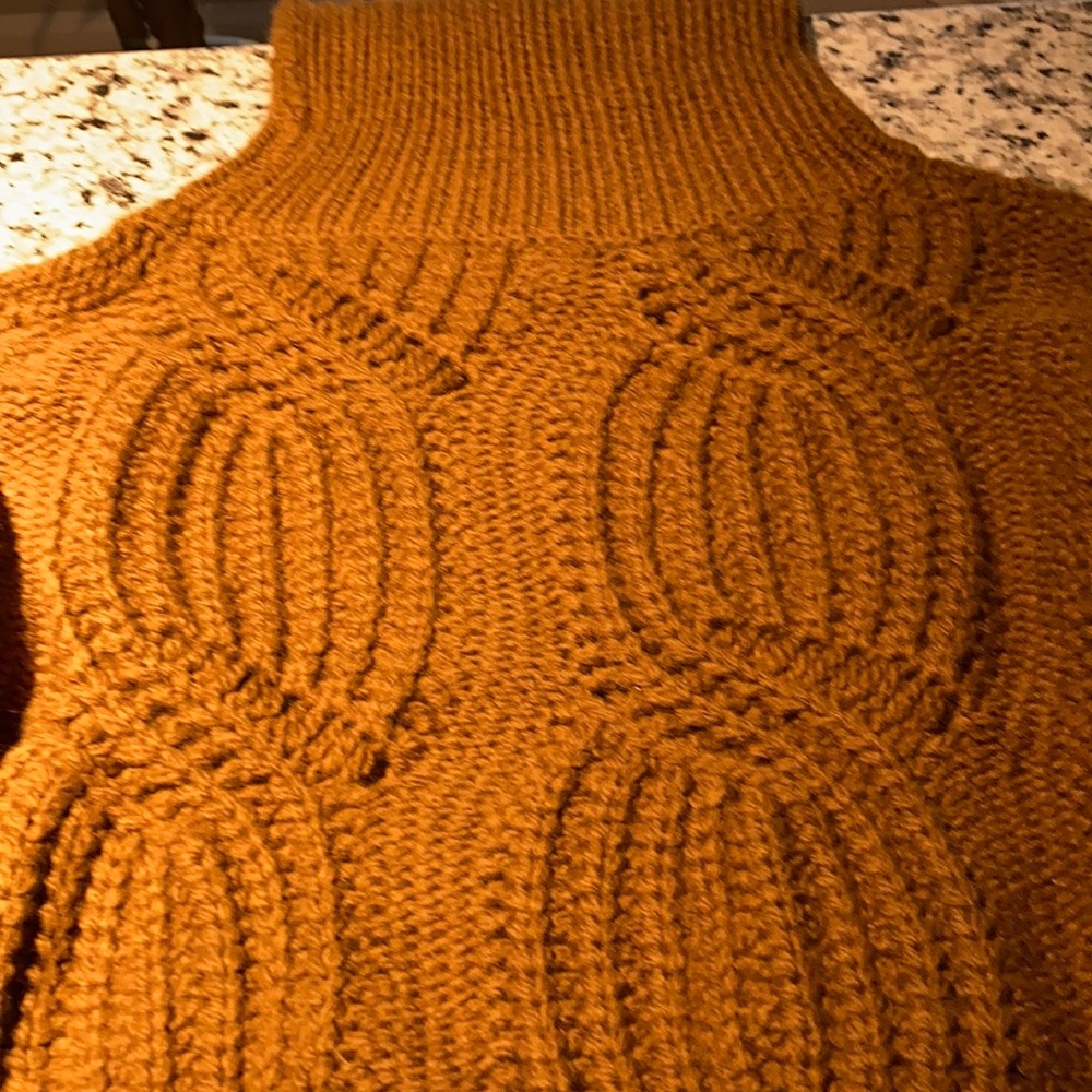 Allison Joy turtleneck sweater with cables